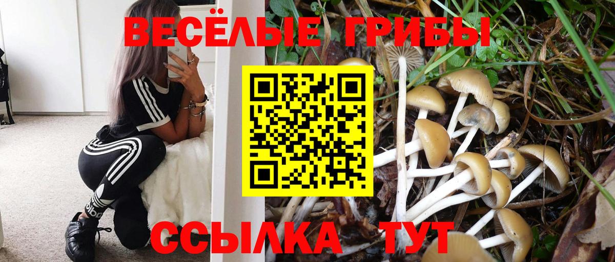Галлюциногенные грибы мухоморы  Вход с VPN  Подольск 